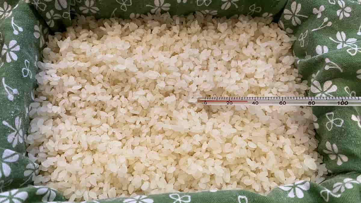 【写真つき】米麹を自宅で作ろう!作り方と保存方法も解説 | 麹せいかつ