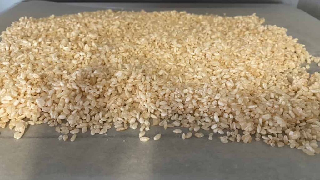 【写真つき】米麹を自宅で作ろう!作り方と保存方法も解説 | 麹せいかつ